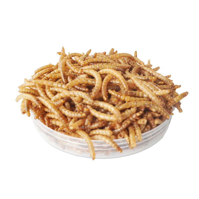 وجبات خفيفة عالية البروتين للح - مراجعة Food Snacks With High Protein وسعره